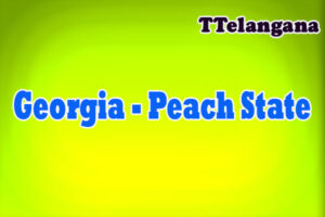 Georgia - Peach State